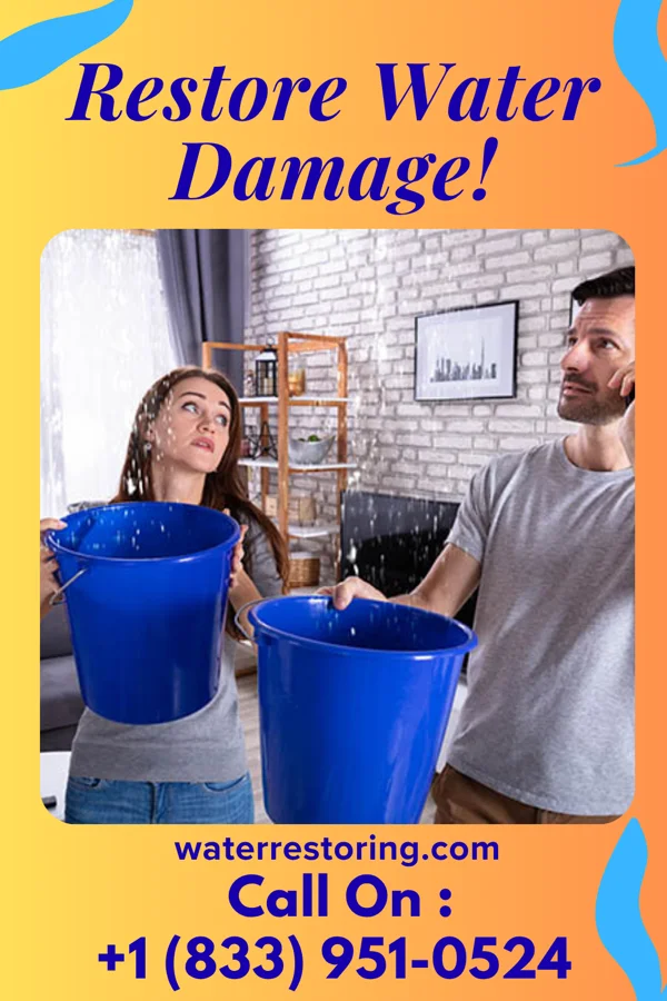 water restoration Southern Recovery Force Lamar