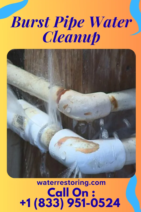 Burst Pipe Water Cleanup in Lamar, NE